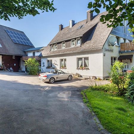 Ferienwohnungen Lindenhof Willingen  Buitenkant foto