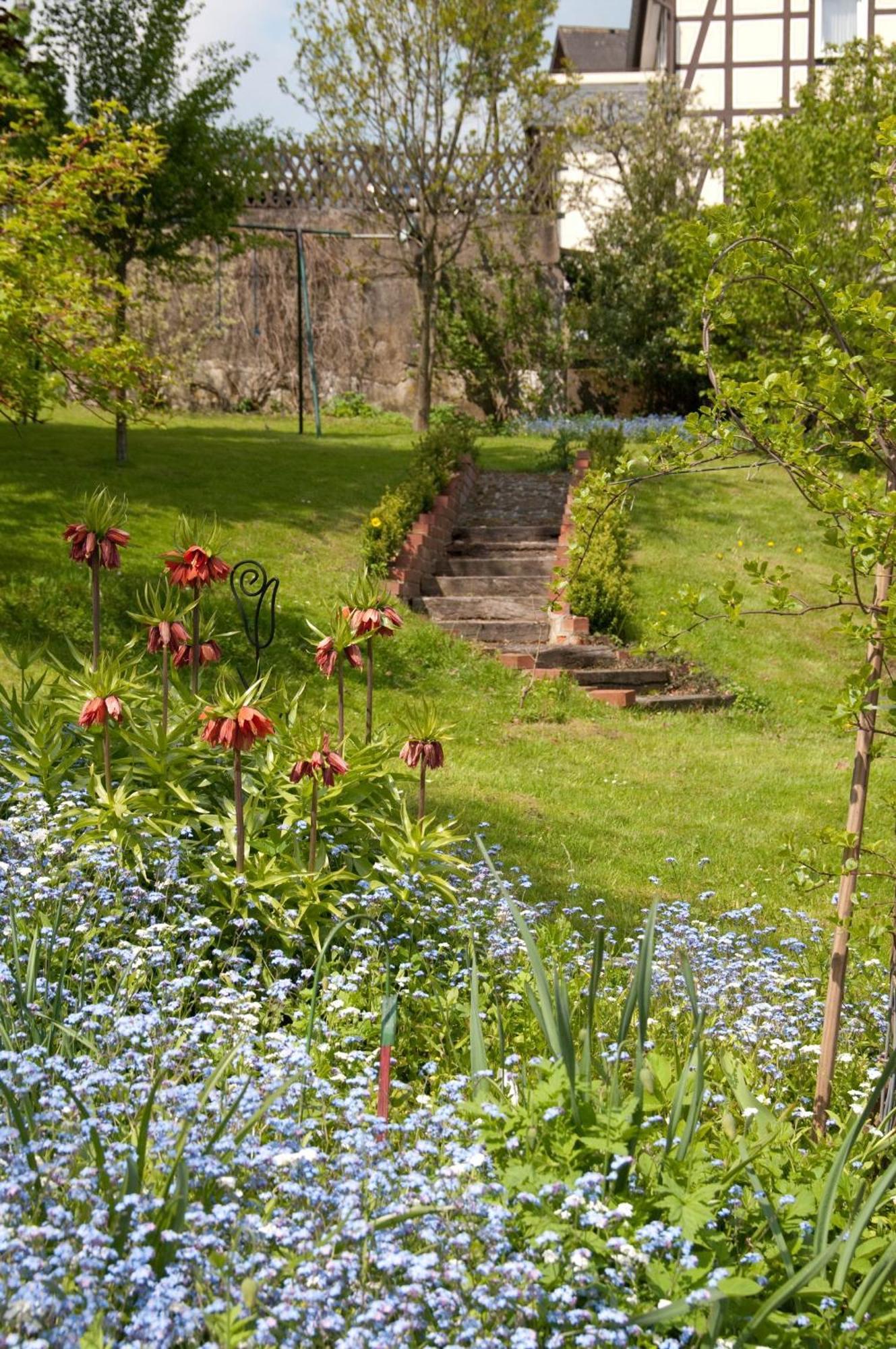 Ferienwohnungen Lindenhof Willingen  Buitenkant foto